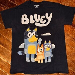 Bluey Bingo Bandit Adult Medium Blue Shirt